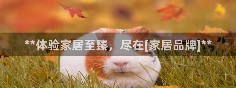 ug环球视讯延时软件