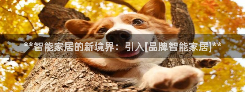 ug环球正网一比一