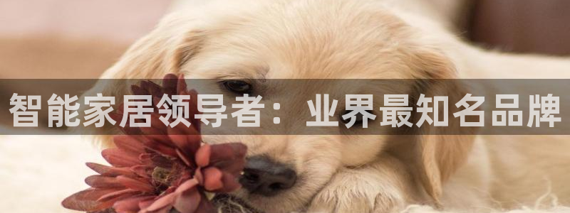 ug环球会员手机版下载