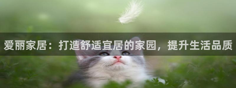 ug环球代理合作