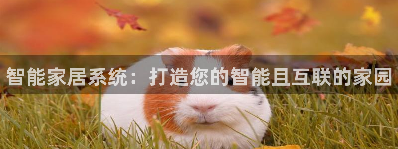 ug环球官网会员登录