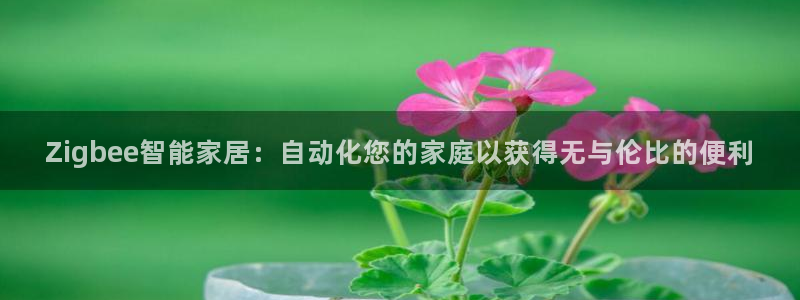Ug环球网网址