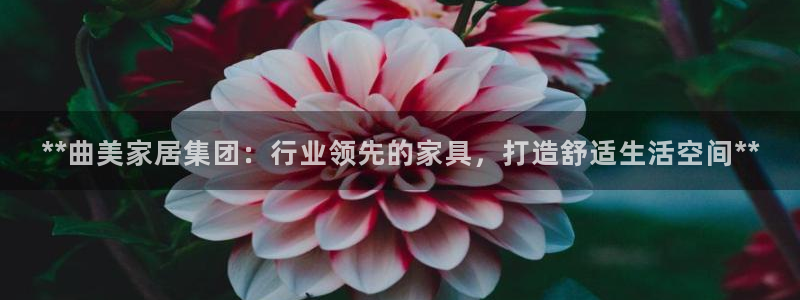 ug环球包杀网一比一