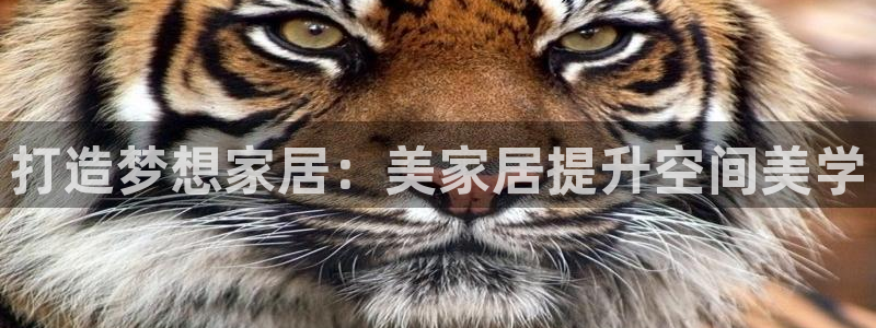 ug环球官网