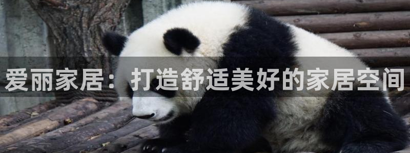 ug环球国际买分