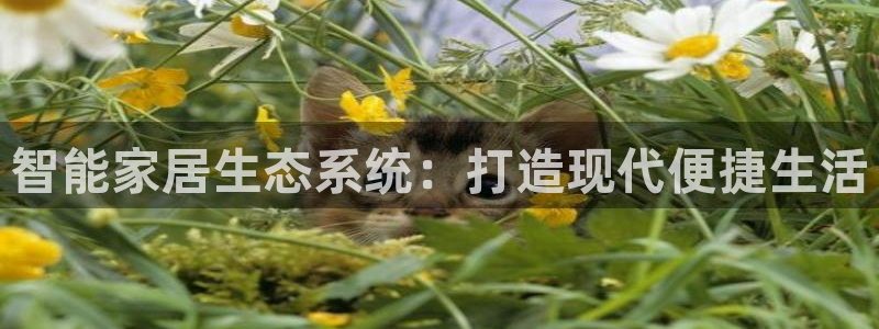 ug环球官网24小时