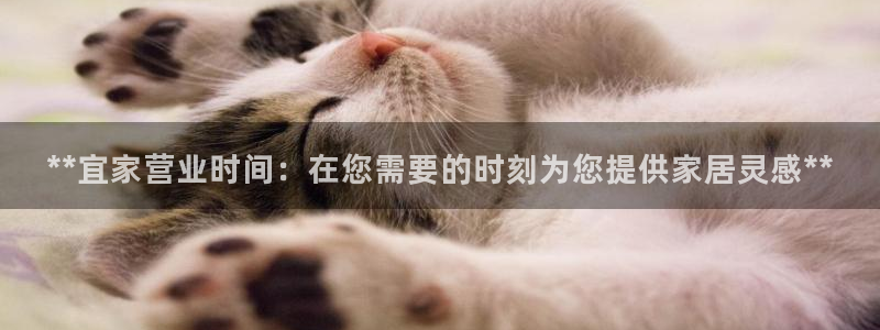 ug环球视讯充值