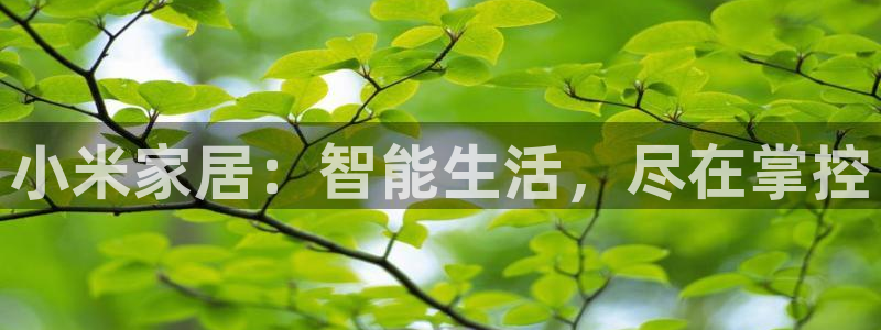ug环球密码重置是多少位数
