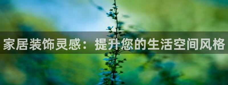 ug环球国际买分