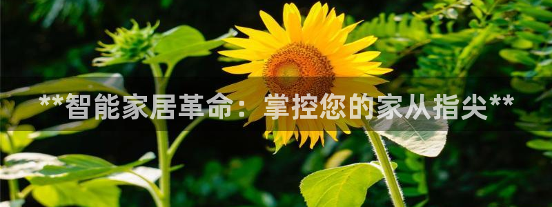 ug环球好假