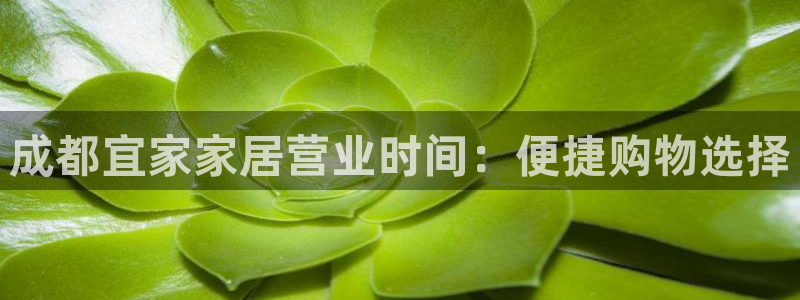 ug环球好假
