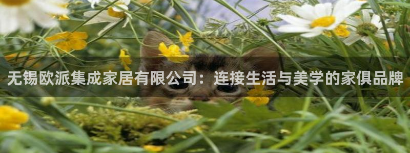 ug环球官网开户