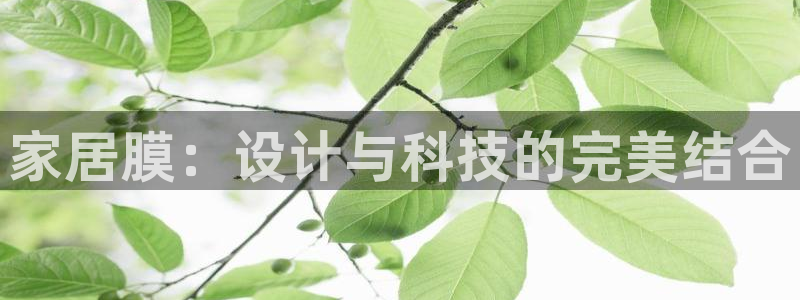 ug环球代理加盟
