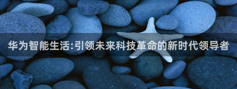 ug环球视讯延时软件：华为智能生活:引领