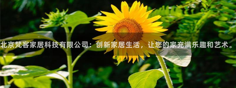 ug环球视讯下载