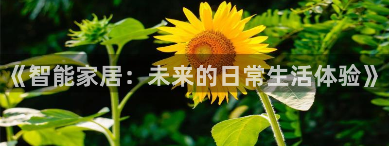 环球ug官网代理