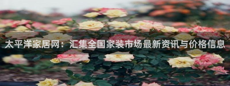 ug环球正网