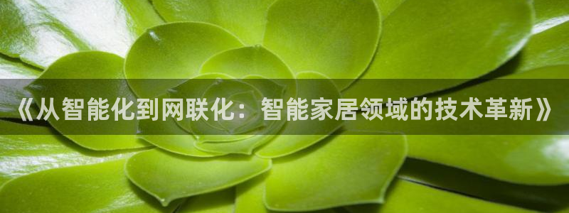 UG环球视讯官网