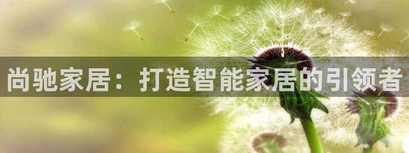 环球ug包杀网：尚驰家居：打造智能家居的