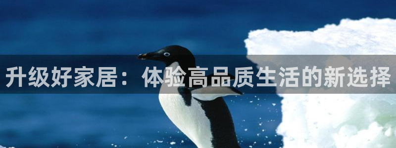 ug环球官网合作