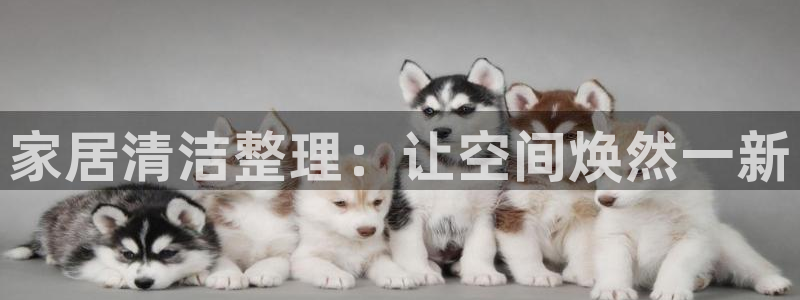 UG环球国际在线