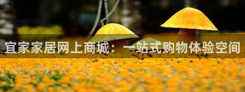 ug环球国际官网