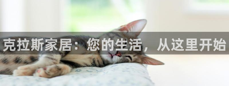 ug环球官网入口