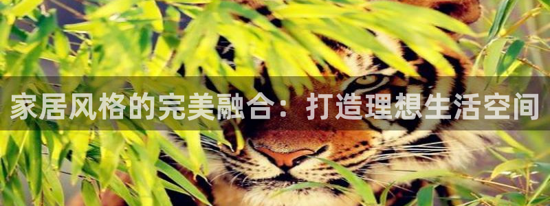 ug环球密码重置是多少位数啊