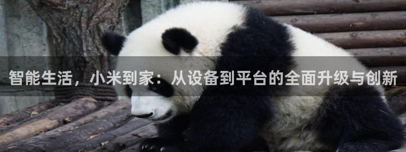 ug环球会员