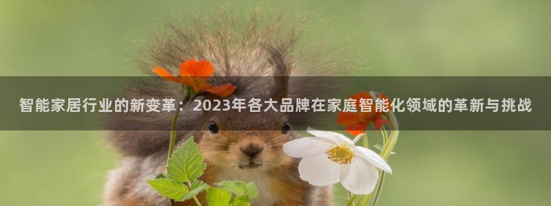 ug环球国际官网