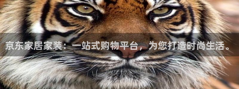 ug环球官网开户