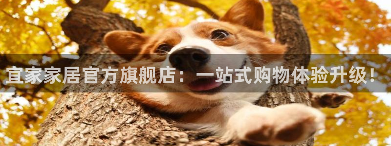 ug环球正网开户