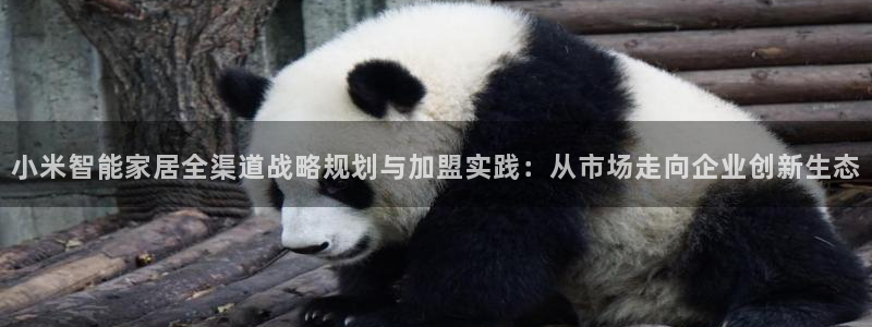 ug环球会员官方客服电话