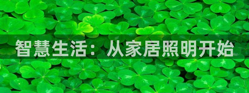 ug环球密码重置是多少位数