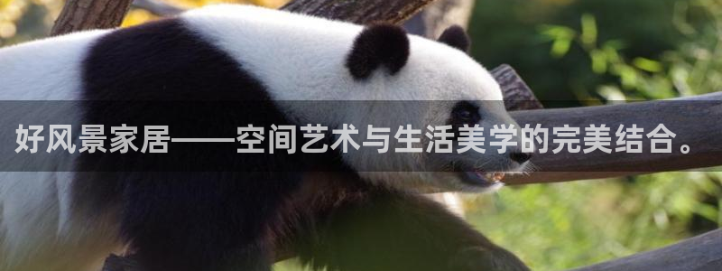 环球ug官网代理