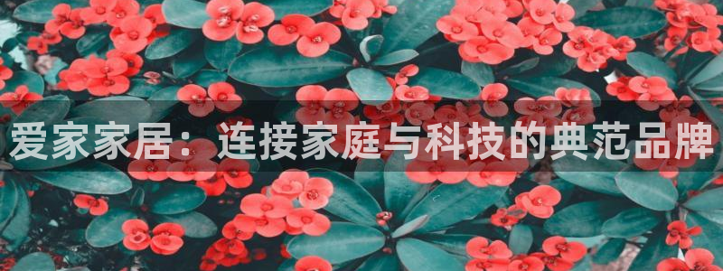 ug环球360代理