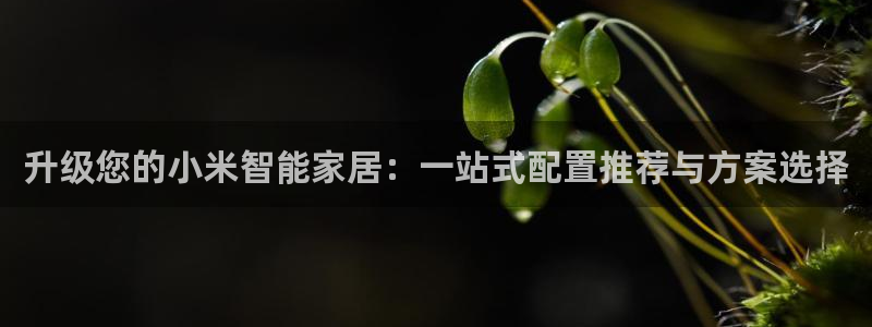 ug环球密码重置是多少位数啊：升级您的小