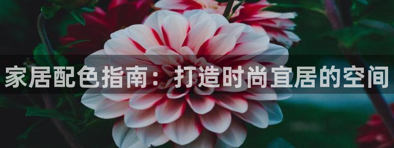 环球ug官网会员注册