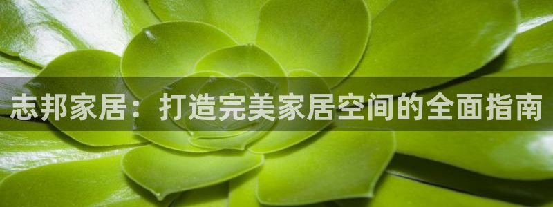 ug环球游戏网站官网