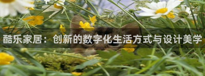 UG环球视讯官网