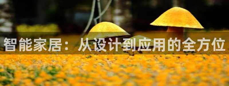 ug环球正网买分