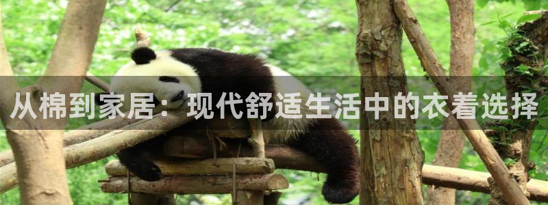 ug环球官网24小时