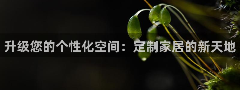 ug环球买分卖分